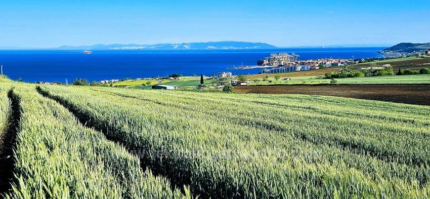 50 Dairelik Full Deniz Ve Doğa Manzaralı Kooparetif Ve Site Porojesine Uygun Arazi