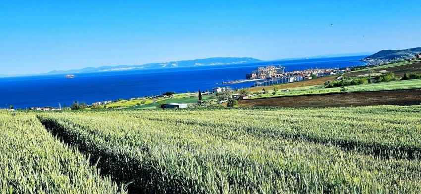 50 Dairelik Full Deniz Ve Doğa Manzaralı Kooparetif Ve Site Porojesine Uygun Arazi