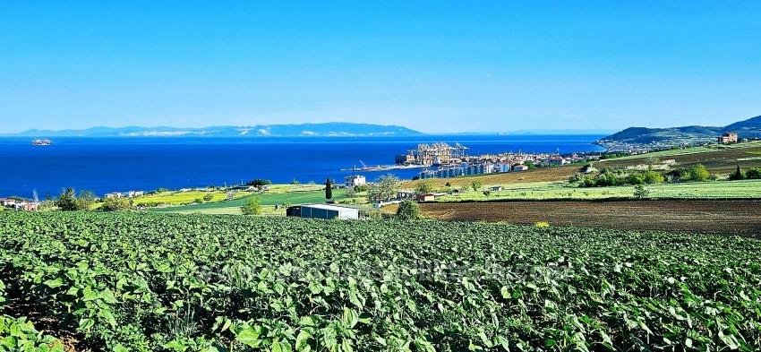 50 Dairelik Full Deniz Ve Doğa Manzaralı Kooparetif Ve Site Porojesine Uygun Arazi