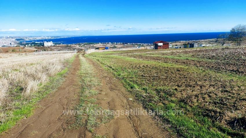 Harika Deniz Doğa Ve Şehir Manzaralı 32 Adet Lüxs Villa Projeye Uygun Fırsat Arazi