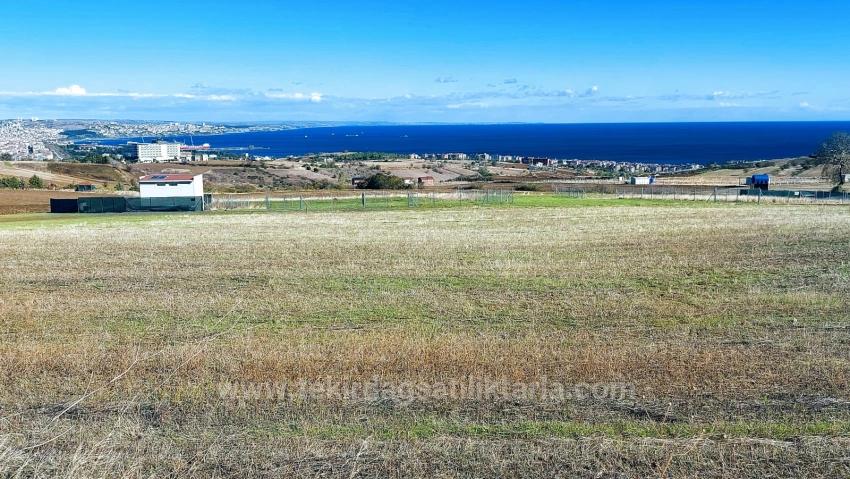 Acil Saatılık Lüxs Villa Poroje Uygula Yüksek Kaznç Sağla Tamamen Full Deniz Ve Doğa Manza