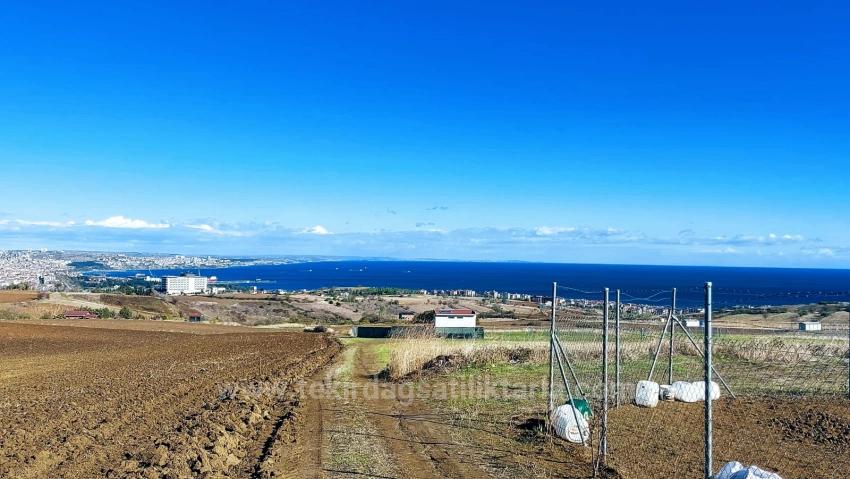 Harika Deniz Doğa Ve Şehir Manzaralı 32 Adet Lüxs Villa Projeye Uygun Fırsat Arazi