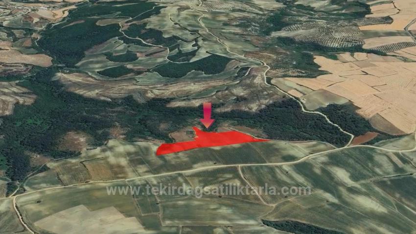 *Takas+Nakit* Devlet Desteği İle Çiftlik Kur* Üret Büyüt* Geleceğine Garantiye Al*