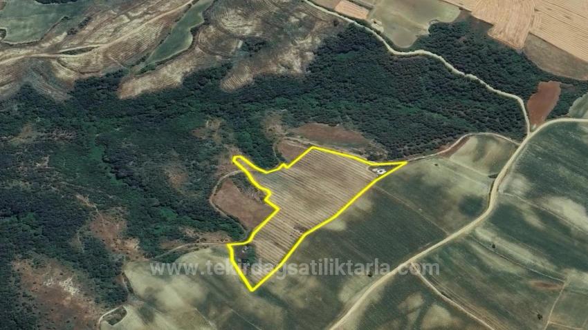 *Takas+Nakit* Devlet Desteği İle Çiftlik Kur* Üret Büyüt* Geleceğine Garantiye Al*