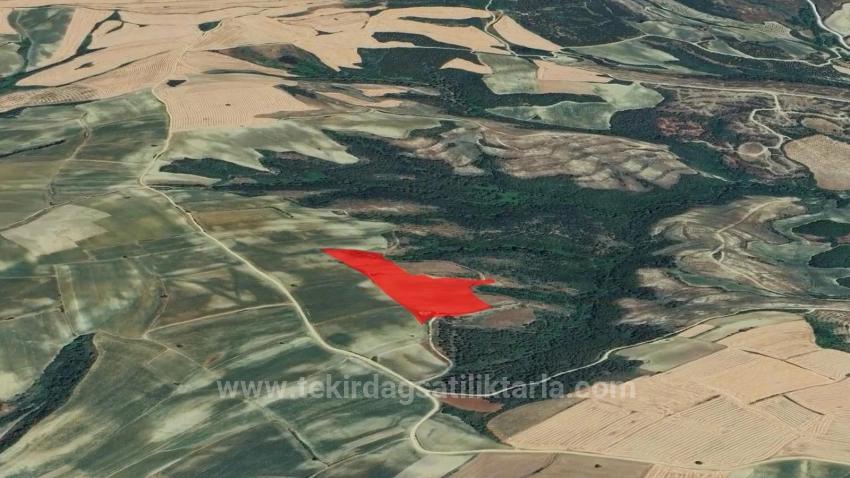 *Takas+Nakit* Devlet Desteği İle Çiftlik Kur* Üret Büyüt* Geleceğine Garantiye Al*