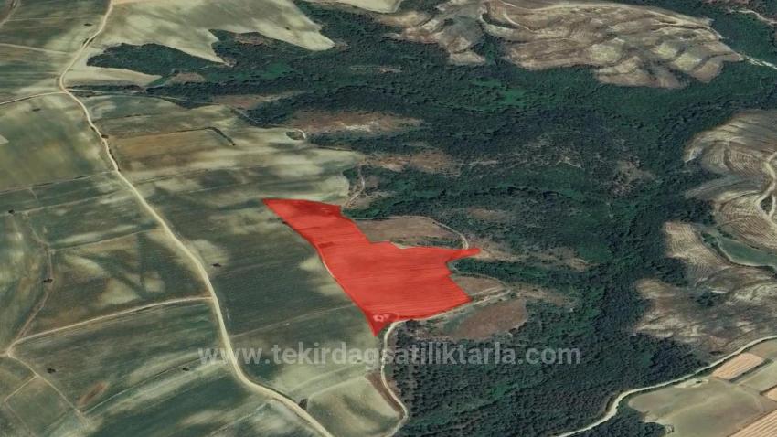 *Takas+Nakit* Devlet Desteği İle Çiftlik Kur* Üret Büyüt* Geleceğine Garantiye Al*