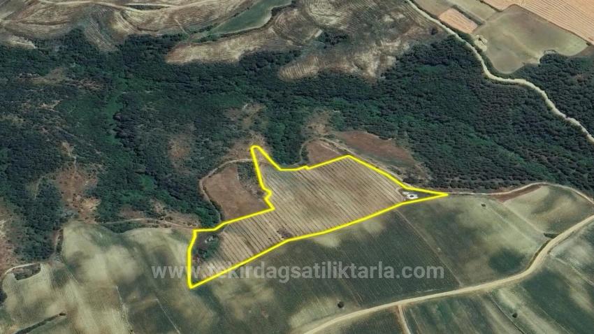 *Takas+Nakit* Devlet Desteği İle Çiftlik Kur* Üret Büyüt* Geleceğine Garantiye Al*