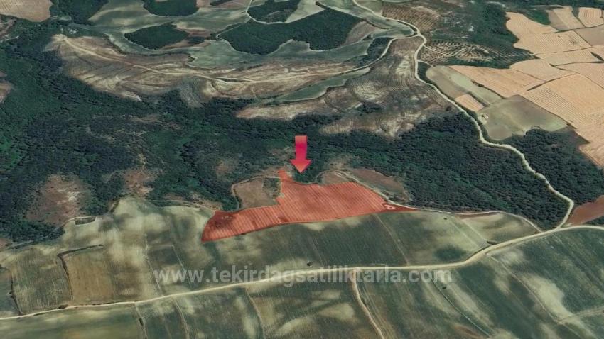 *Takas+Nakit* Devlet Desteği İle Çiftlik Kur* Üret Büyüt* Geleceğine Garantiye Al*