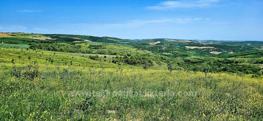 *Takas+Nakit* Devlet Desteği İle Çiftlik Kur* Üret Büyüt* Geleceğine Garantiye Al*