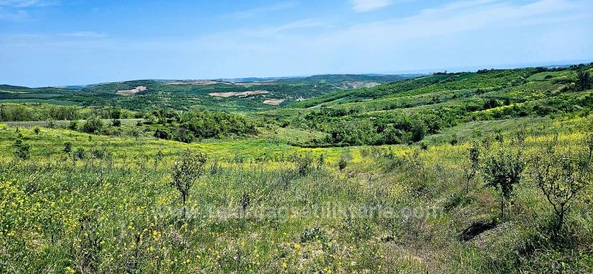 *Takas+Nakit* Devlet Desteği İle Çiftlik Kur* Üret Büyüt* Geleceğine Garantiye Al*