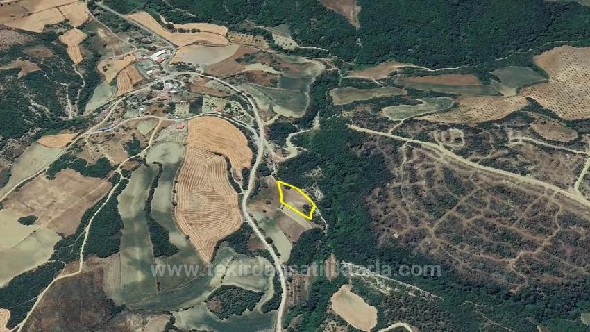 Müstakil Parsel Tek Tapu Hisseli Değil Köy İmar Sınırına Çok Yakın Acil Satılık Fırsat Ara