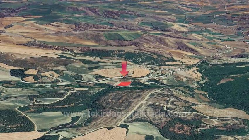 Müstakil Parsel Tek Tapu Hisseli Değil Köy İmar Sınırına Çok Yakın Acil Satılık Fırsat Ara