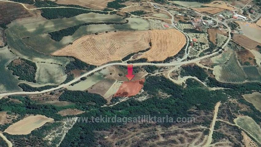 Müstakil Parsel Tek Tapu Hisseli Değil Köy İmar Sınırına Çok Yakın Acil Satılık Fırsat Ara