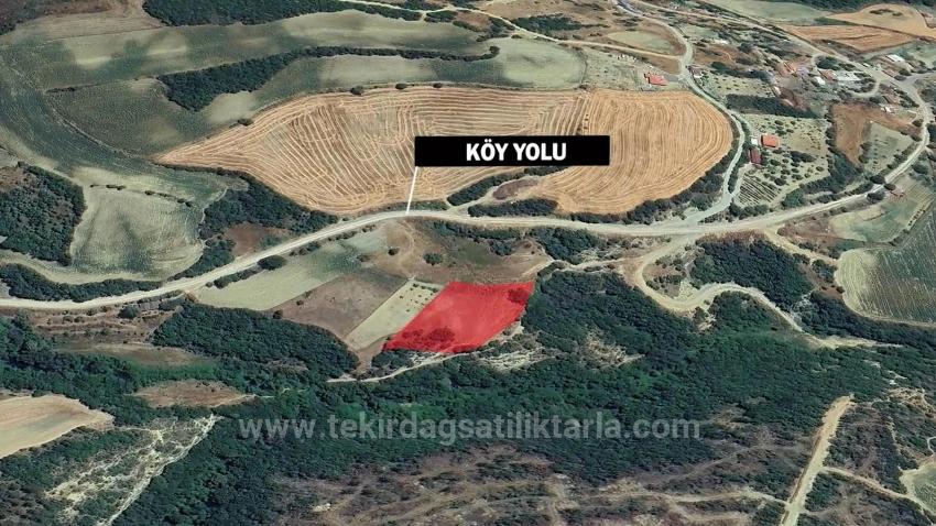 Müstakil Parsel Tek Tapu Hisseli Değil Köy İmar Sınırına Çok Yakın Acil Satılık Fırsat Ara