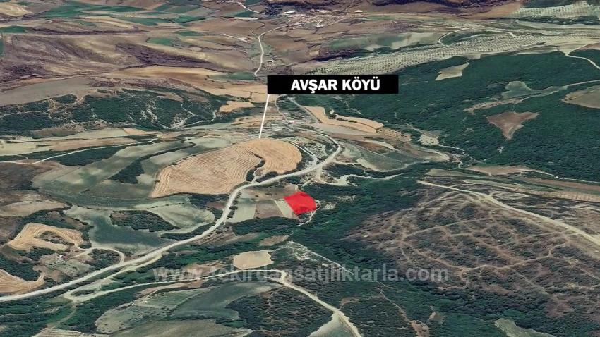 Müstakil Parsel Tek Tapu Hisseli Değil Köy İmar Sınırına Çok Yakın Acil Satılık Fırsat Ara