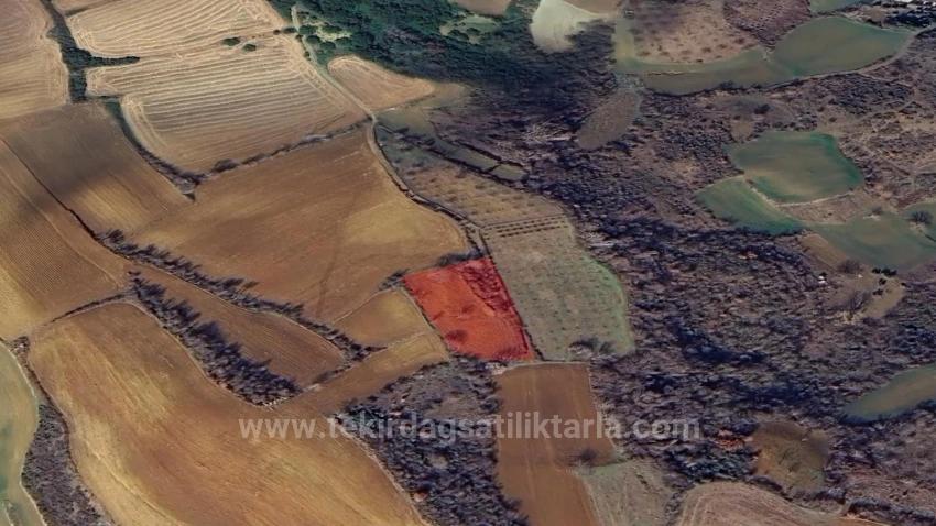 Yatırım Fırsatı Al-Sat Yapmak İsteyenler İçin Kısa Vadede Uüksek Kazanç Garentisi