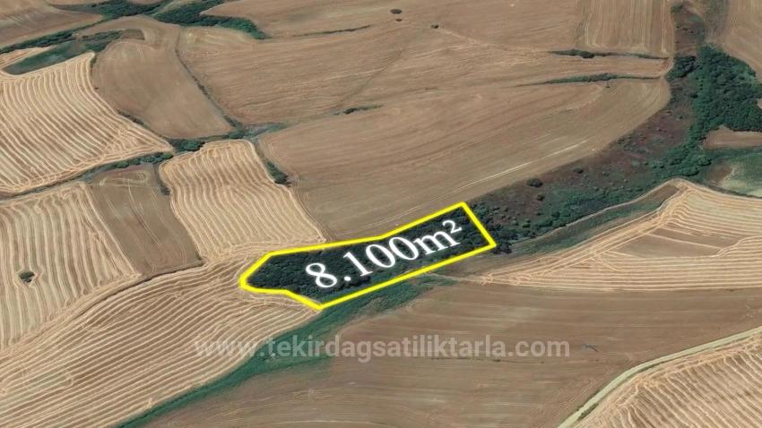 Tekirdağ Oruç Beyli Mahallesindekaçırılmayacak Yatırım Fırsatı 8.100 M2 Kelepir Tarla