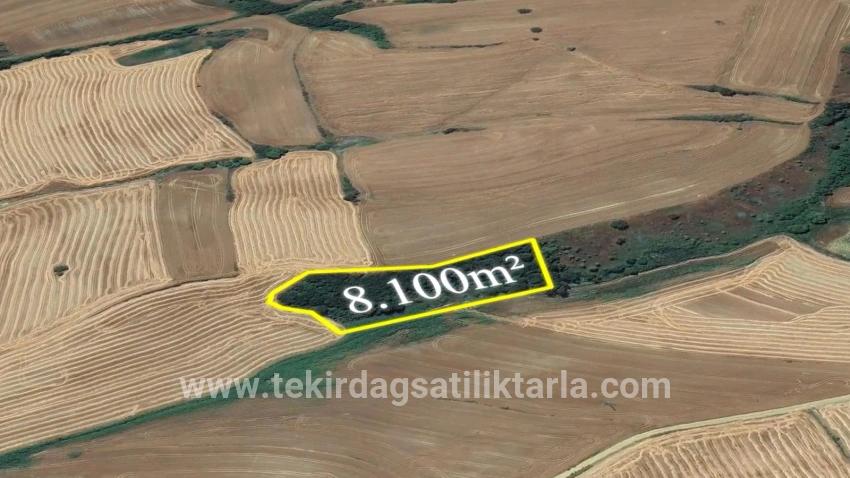 Süleymanpaşa Oruçbeyli Mah. Satılık Tarla - Tarla İmar Durumlu - 8.100 m²