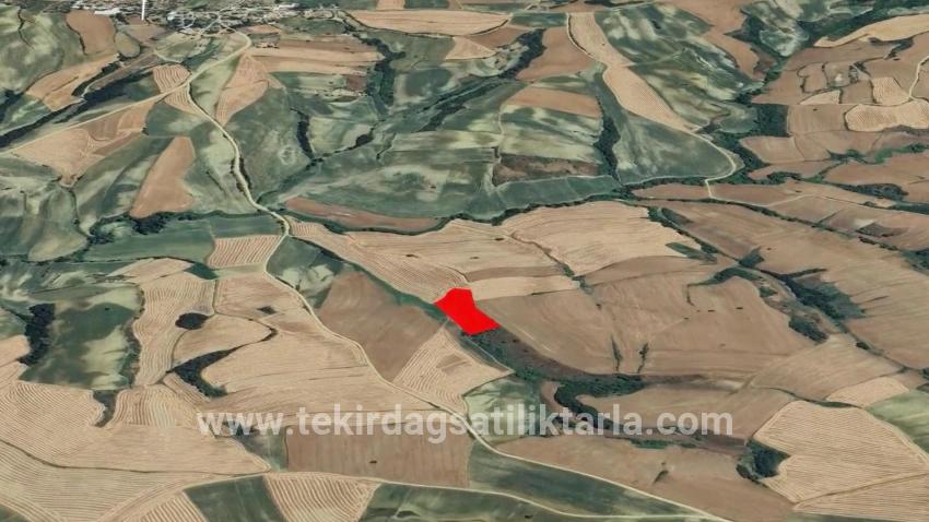 Süleymanpaşa Oruçbeyli Mah. Satılık Tarla - Tarla İmar Durumlu - 8.100 m²