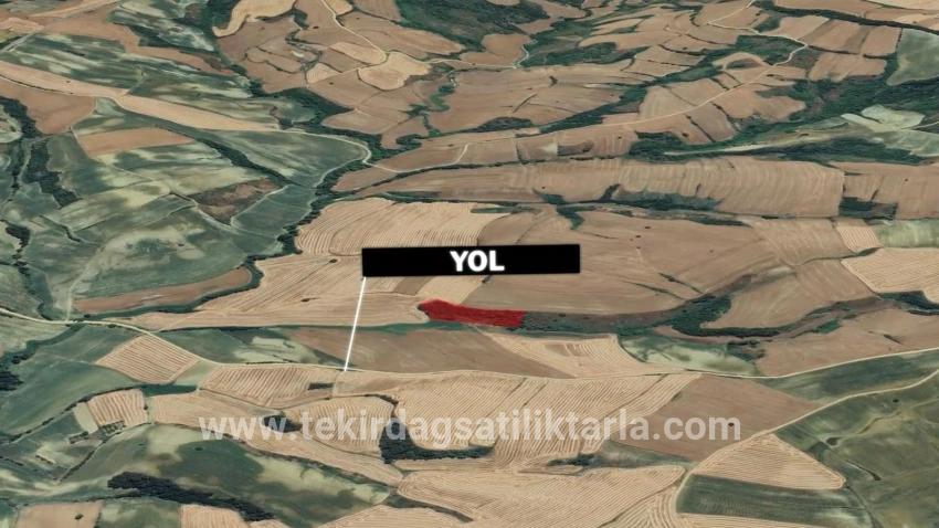 Süleymanpaşa Oruçbeyli Mah. Satılık Tarla - Tarla İmar Durumlu - 8.100 m²