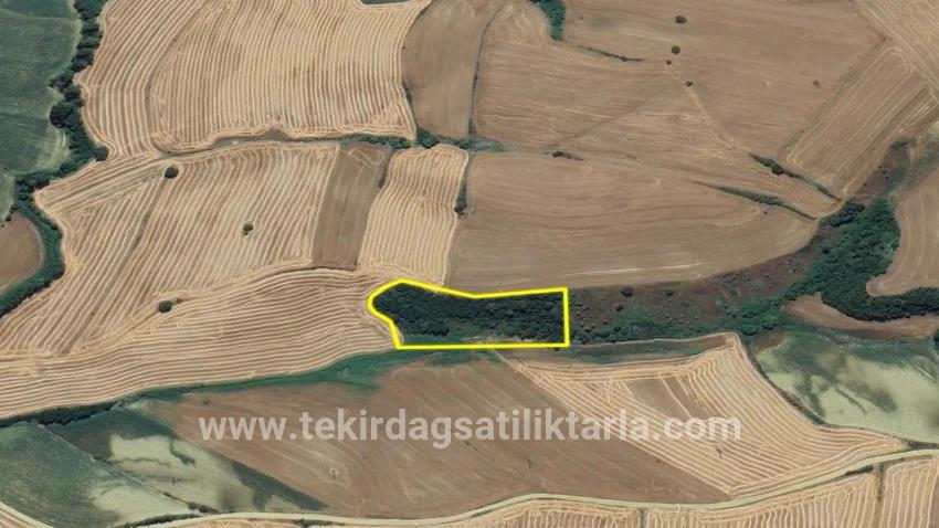 Süleymanpaşa Oruçbeyli Mah. Satılık Tarla - Tarla İmar Durumlu - 8.100 m²