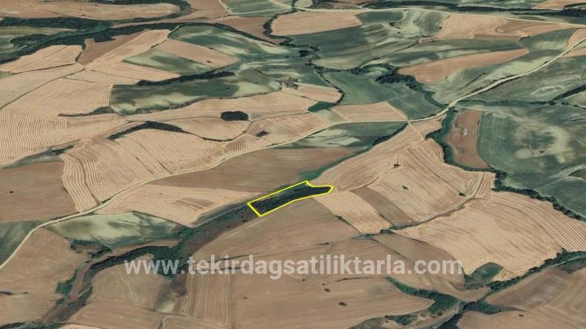 Süleymanpaşa Oruçbeyli Mah. Satılık Tarla - Tarla İmar Durumlu - 8.100 m²