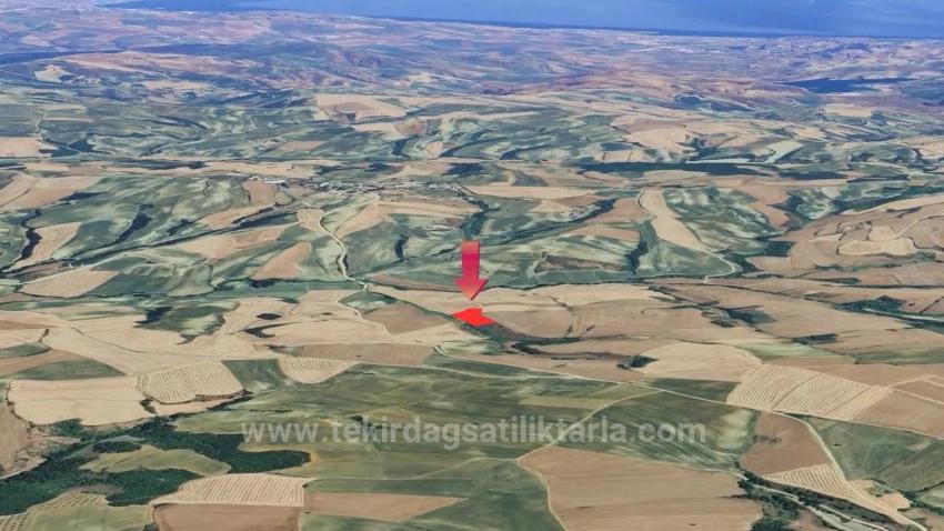 Tekirdağ Oruç Beyli Mahallesindekaçırılmayacak Yatırım Fırsatı 8.100 M2 Kelepir Tarla
