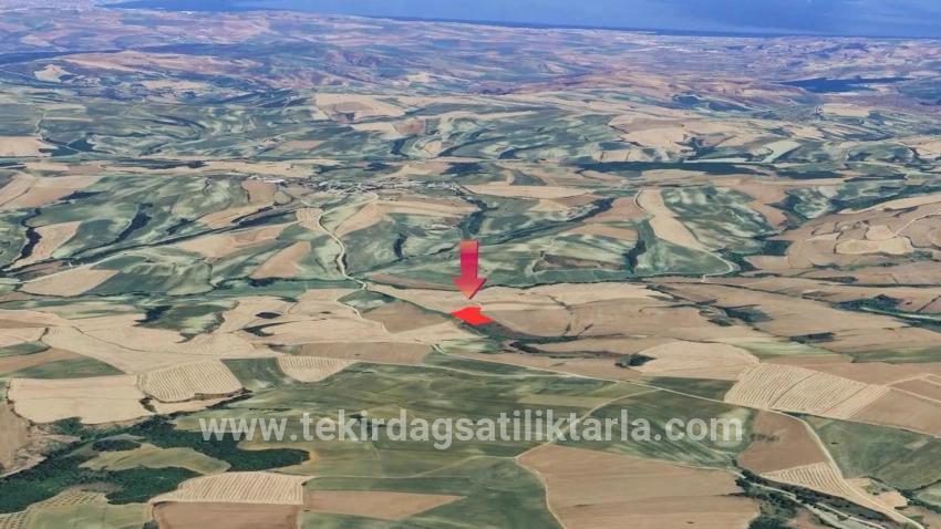 Süleymanpaşa Oruçbeyli Mah. Satılık Tarla - Tarla İmar Durumlu - 8.100 m²