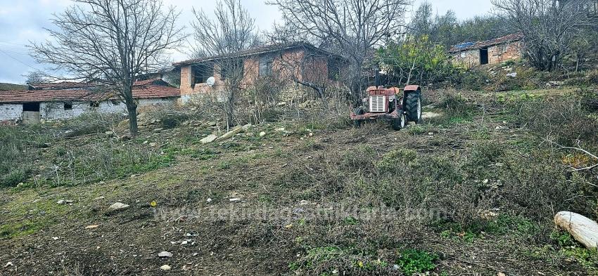 ** Hisse Yok Tek Tapu**Köy Evi Meraklısına Kupon Kelepir Arsa**