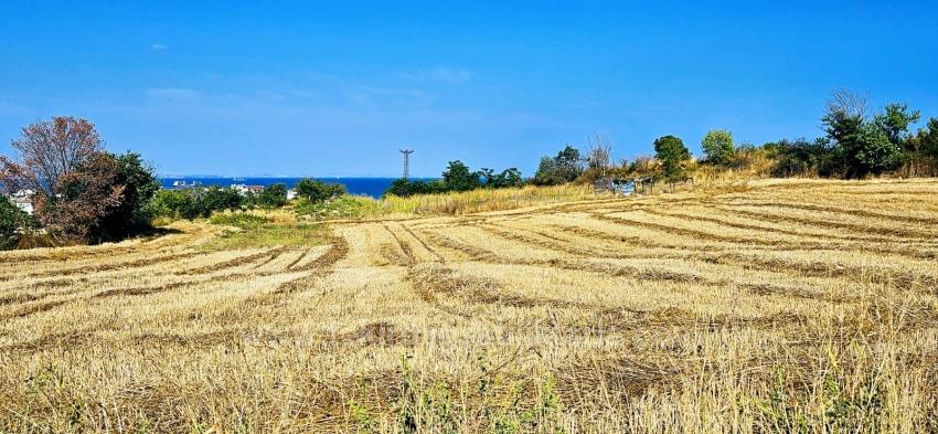 Asyaport Limanına Yakın 615 M2 Kelepir Köşe Arsa