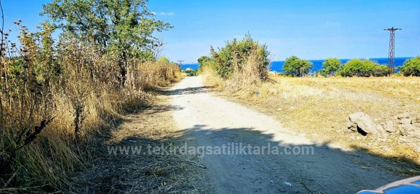 Asyaport Limanına Yakın 615 M2 Kelepir Köşe Arsa