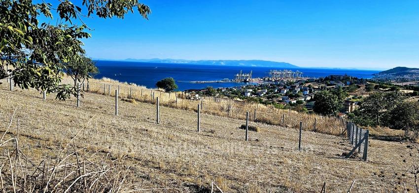 Al-Sat Yapmak İsteyenler İçin Yüksek Kazanç Garantisi Nakit İhtiyacından Dolayı Acil Satıl