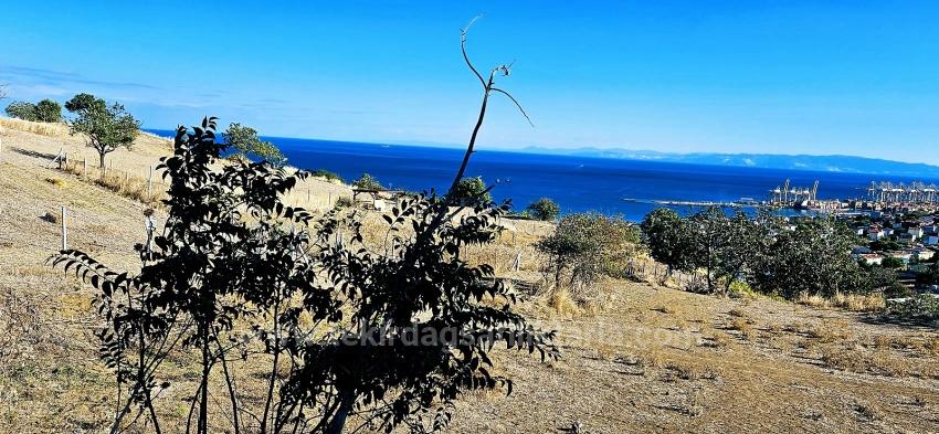 Al-Sat Yapmak İsteyenler İçin Yüksek Kazanç Garantisi Nakit İhtiyacından Dolayı Acil Satıl