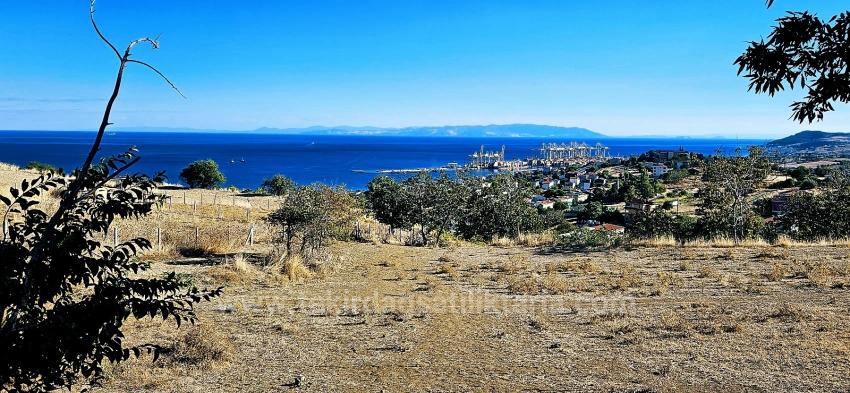 Al-Sat Yapmak İsteyenler İçin Yüksek Kazanç Garantisi Nakit İhtiyacından Dolayı Acil Satıl