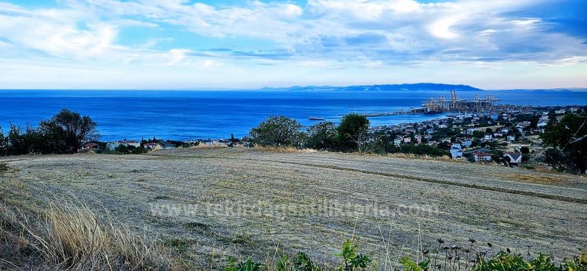 Muhteşem Deniz Ve Doğa Manzaralı Müstakil Evinizi Yapmaya Çok Uygun Fırsat Arsa