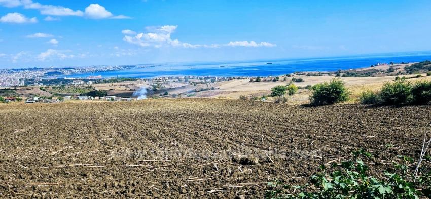 Full Deniz Manzaralı 4 Adet Lüxs Villa Poojesine Uygun Fırsat Arsa