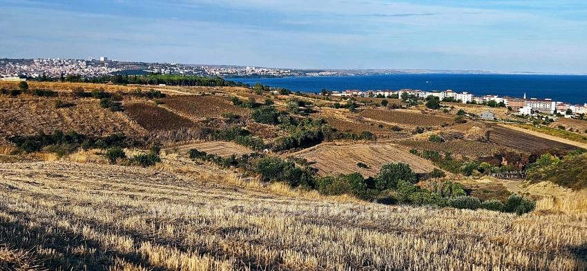 Tekirdağ Topağaç Mahallesinde Full Deniz Manzarlı 1.150 M2 Kelepir Yer