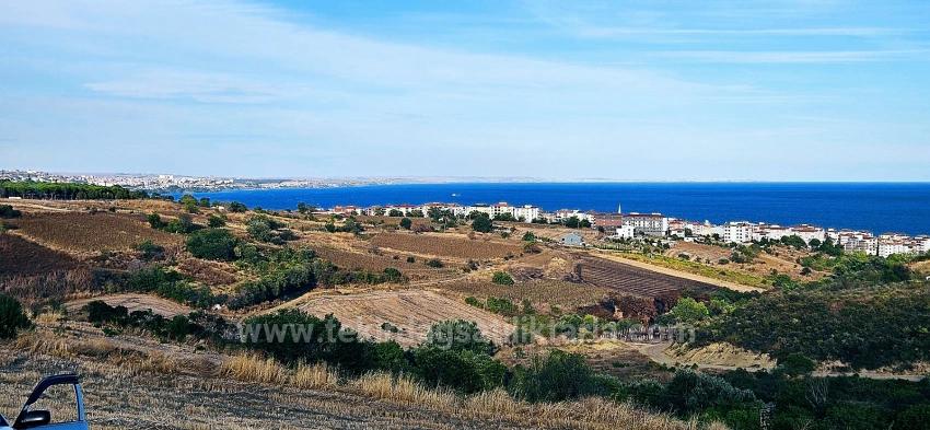 Tekirdağ Topağaç Mahallesinde Full Deniz Manzarlı 1.150 M2 Kelepir Yer