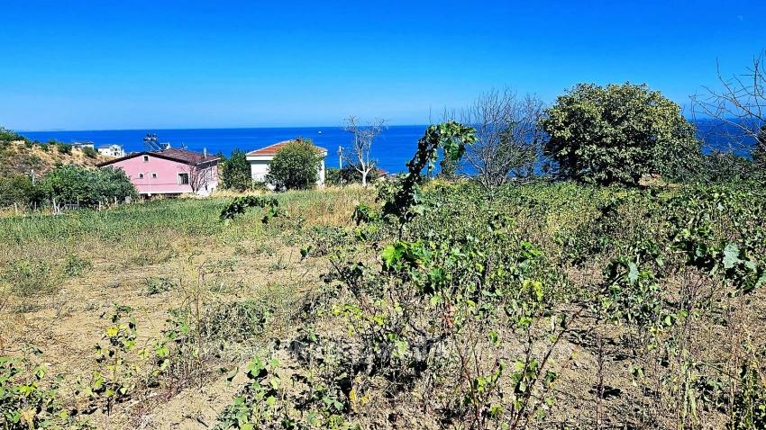 Tekirdağ Barbarosta 4 Taraf Yol Cephe Altyapı Hazır Kooparetif Ve Site Yapımına Uygun Yer