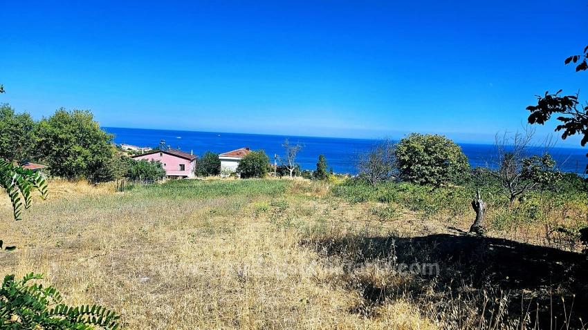Tekirdağ Barbarosta 4 Taraf Yol Cephe Altyapı Hazır Kooparetif Ve Site Yapımına Uygun Yer