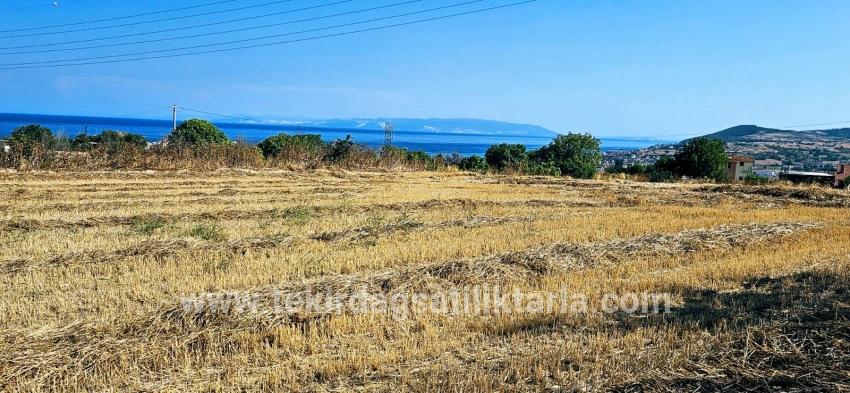 Süleymanpaşa Kumbağ Barbaros Mah. Satılık Tarla - Konut İmar Durumlu - 8.500 m²