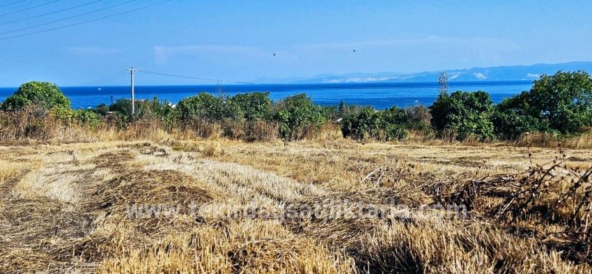 Süleymanpaşa Kumbağ Barbaros Mah. Satılık Tarla - Konut İmar Durumlu - 8.500 m²