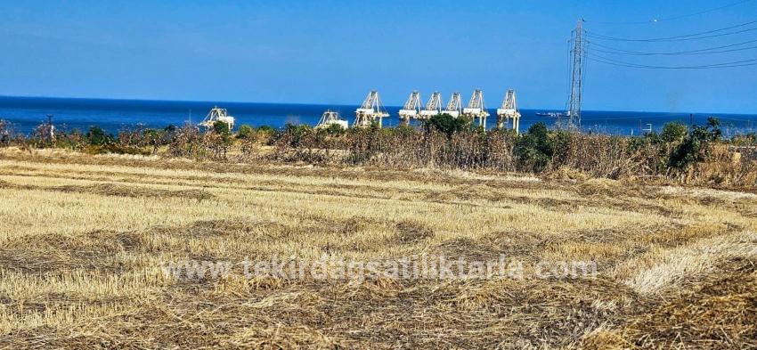 Süleymanpaşa Kumbağ Barbaros Mah. Satılık Tarla - Konut İmar Durumlu - 8.500 m²