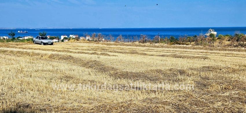 Süleymanpaşa Kumbağ Barbaros Mah. Satılık Tarla - Konut İmar Durumlu - 8.500 m²