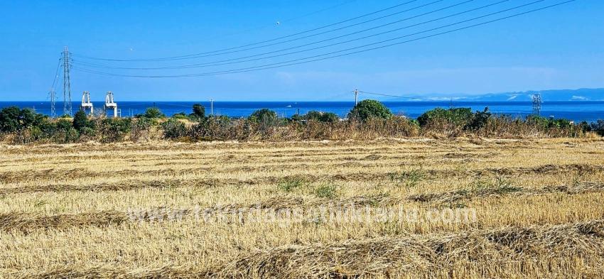 Süleymanpaşa Kumbağ Barbaros Mah. Satılık Tarla - Konut İmar Durumlu - 8.500 m²