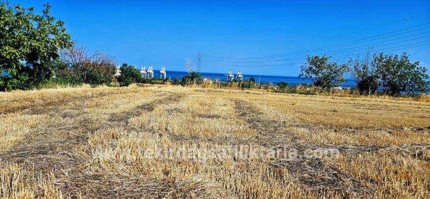Süleymanpaşa Kumbağ Barbaros Mah. Satılık Tarla - Konut İmar Durumlu - 8.500 m²