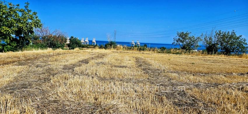 Asyaport Limanına Yakın 8.500 M2 Konut İmarlı Yüksek Kazanç Vaadi Arazi