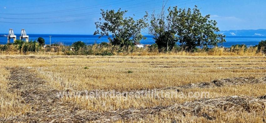 Süleymanpaşa Kumbağ Barbaros Mah. Satılık Tarla - Konut İmar Durumlu - 8.500 m²