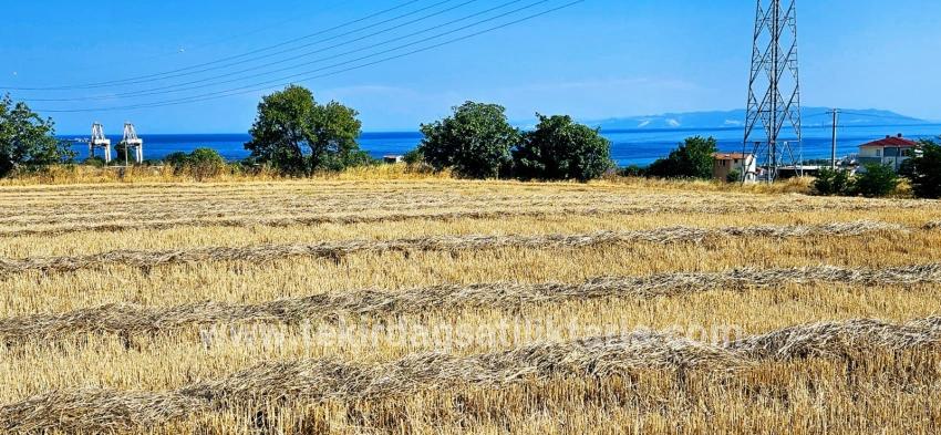 Süleymanpaşa Kumbağ Barbaros Mah. Satılık Tarla - Konut İmar Durumlu - 8.500 m²
