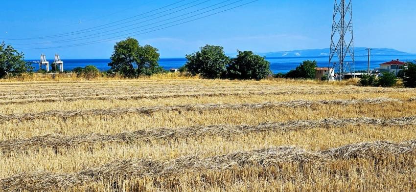 Asyaport Limanına Yakın 8.500 M2 Konut İmarlı Yüksek Kazanç Vaadi Arazi